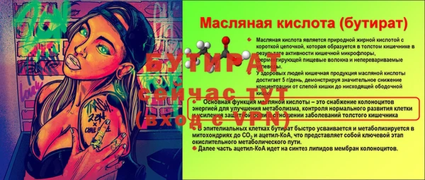 ECSTASY Горняк