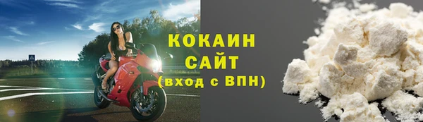 ECSTASY Горняк