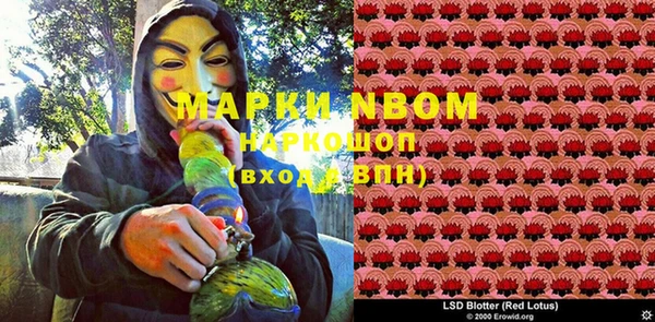 ECSTASY Горняк