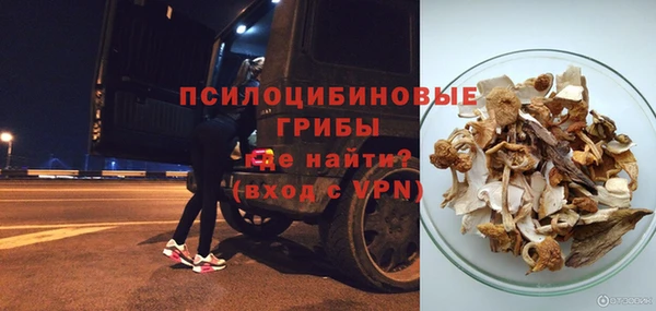 ECSTASY Горняк