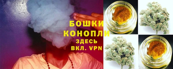 ECSTASY Горняк