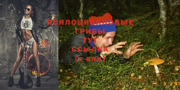 ешки Горнозаводск